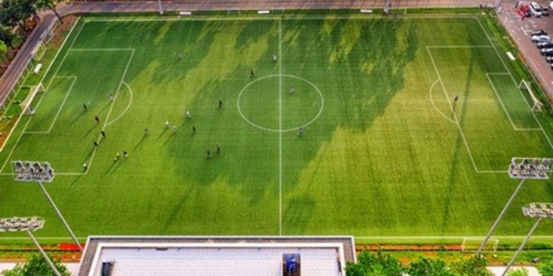 Cược th�?nên học hỏi thêm các mẹo chơi cá đ�?3 cửa hay t�?chuyên gia